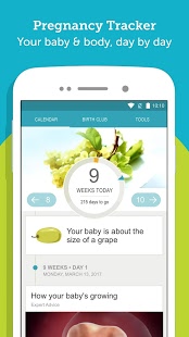 Download Pregnancy Tracker & Baby Development Countdown